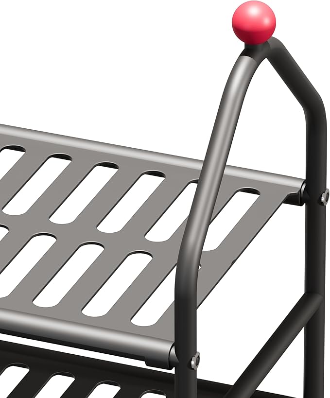 Shoe Rack, 5-Tier Shoe Organizer, Metal Storage Shelf, Shoe Rack for Closet, Free Standing Shoe Racks for Entryway, Garage & Doorway, Sturdy Shoe Shelves, Black