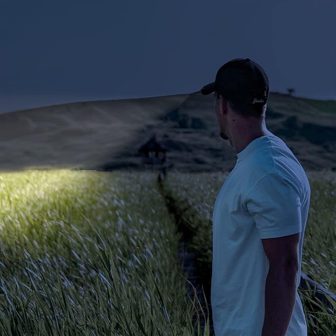 Beieverluck 10 Pack Small Mini LED Flashlight Pocket Flashlight Pen Light Flashlight Tactical Flashlight with Clip Flashlights for Camping Outdoor Emergency Inspection Fathers Gifts for Dad Husband