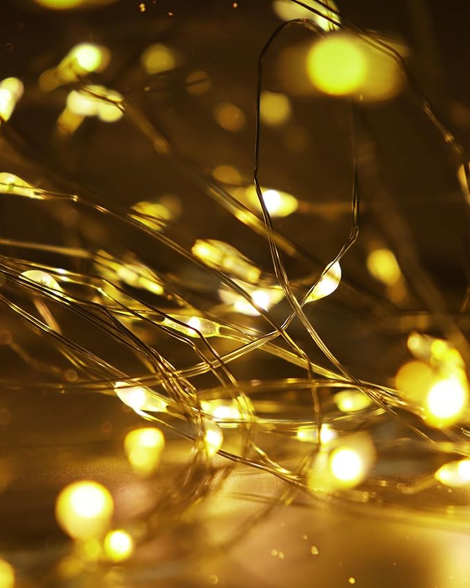 Blingstar USB Powered Fairy Lights, 2 Pack 33Ft 100 LED, Flexible Silver Wire, Mini String Lights for Christmas Tree/Bedroom/Camping/Holiday Indoor Decoration, Warm White