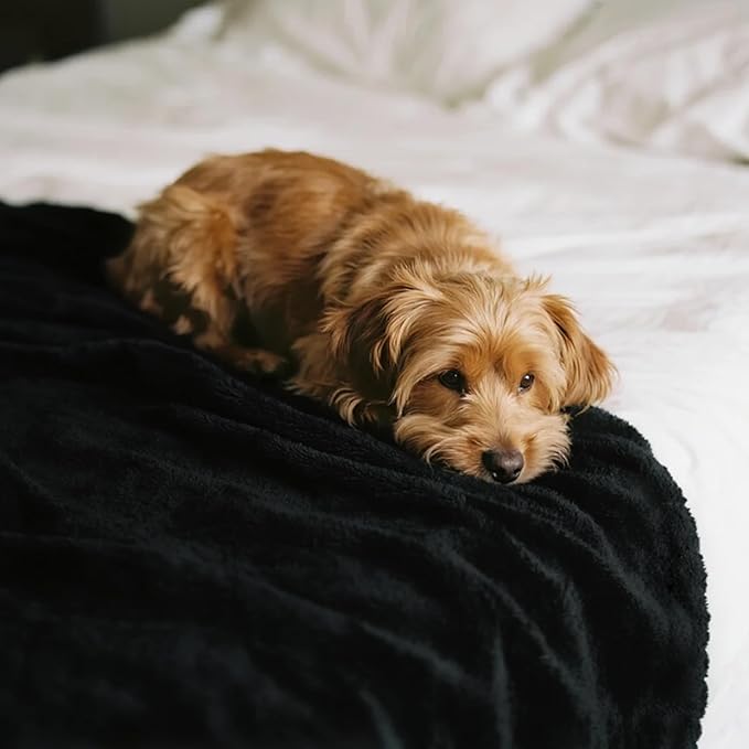gogobunny Waterproof Bed Blanket, Reversible Sherpa Fleece Throw Blanket for Dog Puppy Cat, Furniture Cover Protects Bed Couch Sofa from Liquid Pee and Pet Fur (Black, 60x80 inches)
