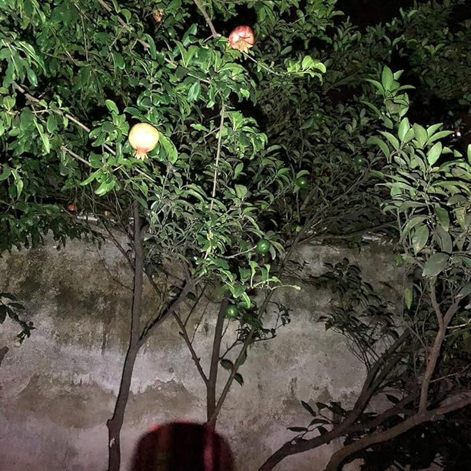 Small Mini Flashlights Pack of 6,Assorted Colors,New Type Cob Light,with 18 AAA Battery (6 Pack)