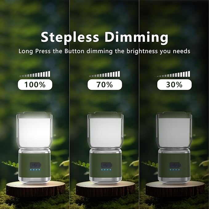 LED Camping Lantern Rechargeable, 2000LM Small Camping Lights Lantern with Redlight&20Hours Runtime&Stepless Dimming, Hurricane Emergency Lights for Power Outages, Waterproof, Camping Essentials,4pcs