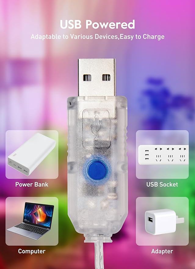 String Lights Indoor, 33Ft 80 LED Rose Flower Lights, 8 Modes Dimmable & Timeable Twinkle Lights, Festival Christmas Decorations for Bedroom Living Room, Multicolor, USB Plug, Remote