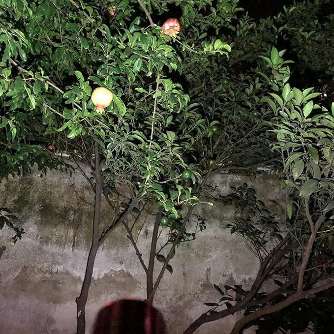 Small Mini Flashlights Pack of 30,Assorted Colors,New Type Cob Light,With Battery