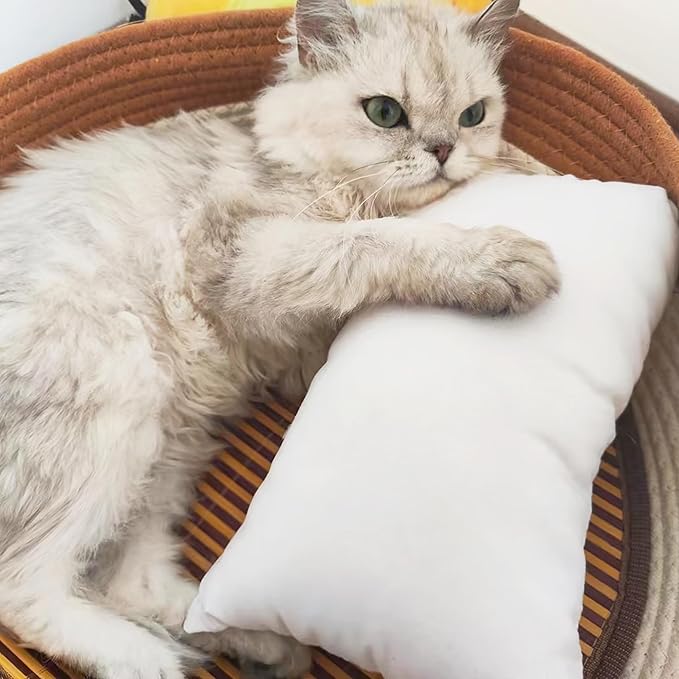 BEDSUM 2 Pack Microfiber Pillows, 13"x18" for Travel, Pets - Soft, Machine Washable Small Pillow for Neck, Wrist, and Knee Comfort, Taupe