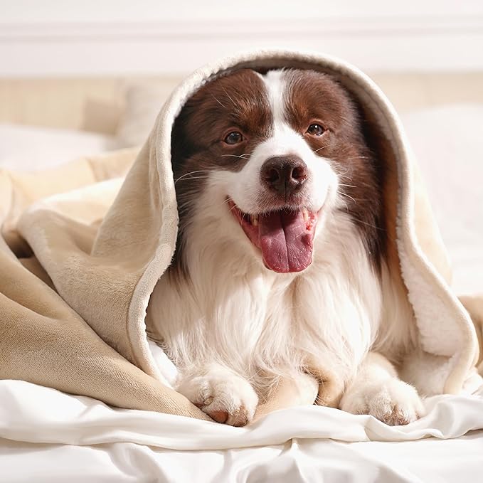 gogobunny Waterproof Pet Blanket for Small Dogs and Cats, Reversible Sherpa Fleece Soft Plush Throw for Couch Protection, Washable Furniture Protector (Beige, 30x40 inches)