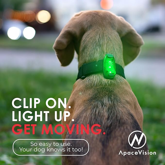 LED Safety Light (2 Pack) - Clip On Strobe/Running Lights for Runners, Dog, Bike, Walking, Boat, Kayak, Stroller and More - High Visibility Accessories for Your Reflective Gear, Bicycle