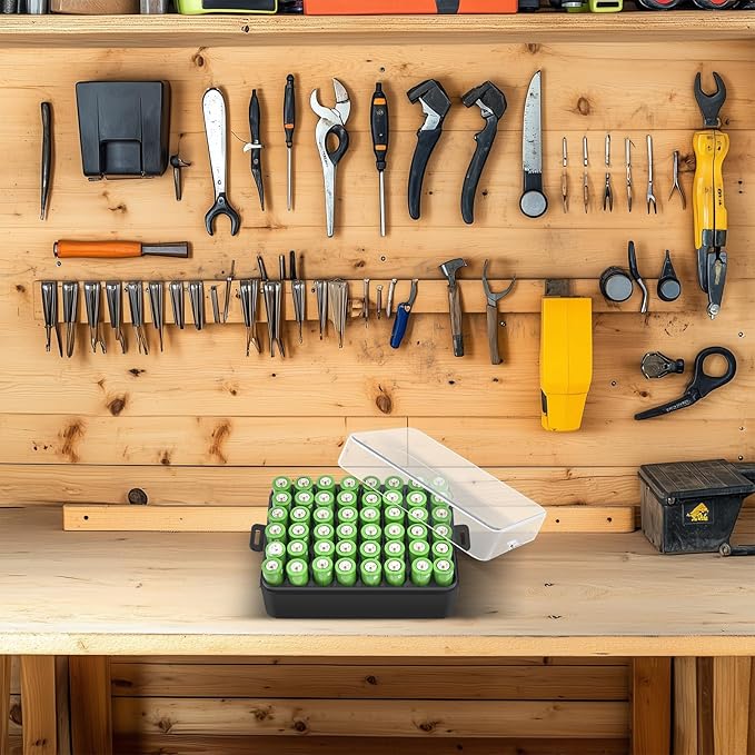 ALCYON Battery Organizer Storage Case, Small Battery Vault Box Container for 48pcs AA Batteries, Plastic Clear Protective Battery Holder for Travelling/Home/Office (Black, Large)