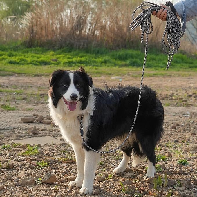 NTR 10FT Training Leash for Dog,Reflective Nylon Rope Lead with Swivel Lockable Hook and Comfortable Handle,Puppy Leash Lead for Small Medium Large Dogs Training,Playing,Camping,or Backyard