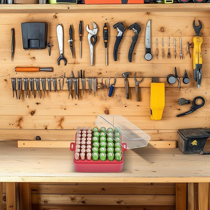 ALCYON Battery Organizer Storage Case, Battery Vault Box Container for 48pcs AA AAA Batteries, Plastic Clear Protective Battery Holder for Travelling/Home/Office (Red, Medium)