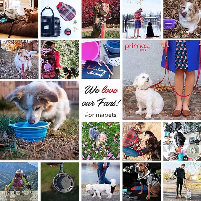 Prima Pet Collapsible Silicone Water Travel Bowl with Clip for Dog and Cat, Portable and Durable Pop-up Feeder for Convenient On-The-go Feeding – Size: Large (5 Cups) Pink