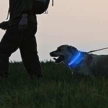 Pack of 6 LED Light Up Band Slap Bracelets Night Safety Wrist Band for Cycling Walking Running Concert Camping Outdoor Sports