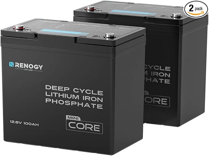 Renogy 2PCS 12V 100Ah Mini Size LiFePO4 Lithium Battery, 100A BMS for Ultimate Safety, Deep Cycle Remote Monitoring, Backup for RV, Cabin, Marine, 200ah LiFePO4 Lithium Battery - Core Series