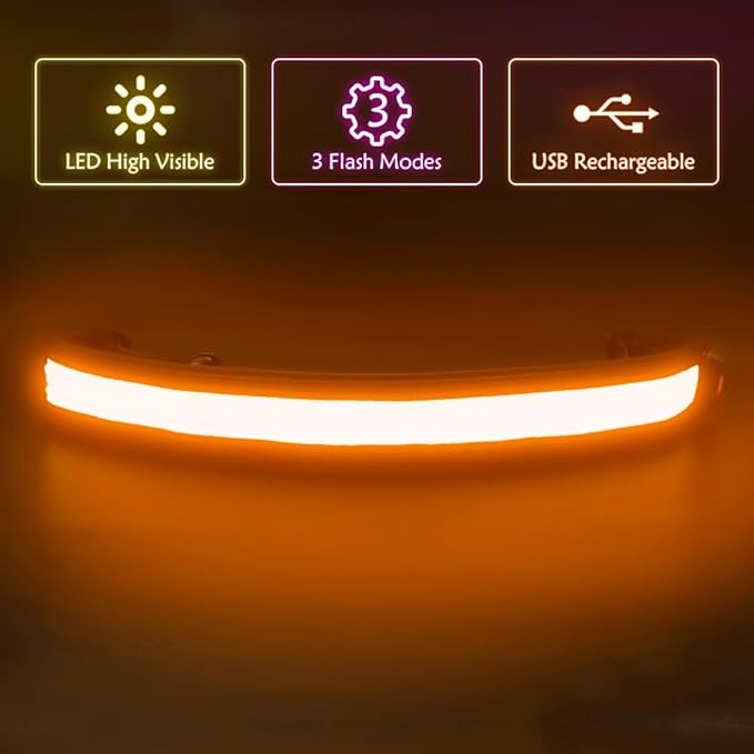 Illumifun LED Running Belt - USB Rechargeable Light Up Sash, High-Visibility Elastic Waistband Light for Running Cycling Hiking Camping Nighttime Activities