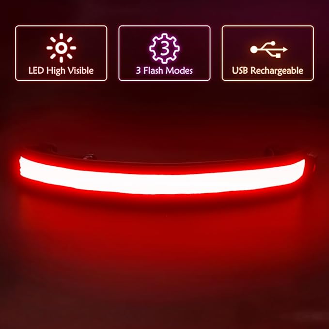 Illumifun LED Running Belt - USB Rechargeable Light Up Sash, High-Visibility Elastic Waistband Light for Running Cycling Hiking Camping Nighttime Activities