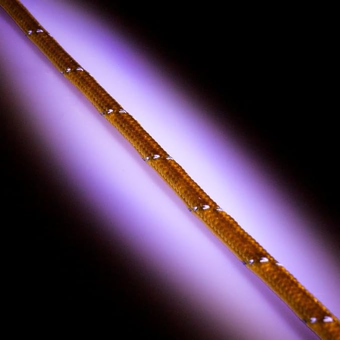 Paracord Planet Reflective 550lb Paracord – 7 Strand Type III Nylon Parachute Cord for Outdoor Visibility, Hiking, and Crafting – 30+ Colors and 4 Length Options