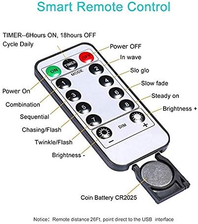 Dragonfly Decorative String Lights, 18.7 Ft 40 LED USB Plug-in Copper Wire Dragonfly Fairy Lights for Various Decoration Projects (Warm White, Remote Control with Timer)