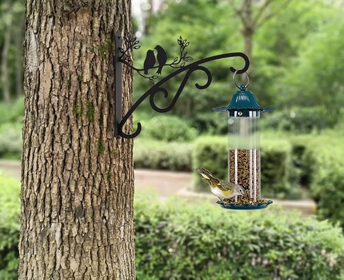 Heavy Duty Outdoor Hanging Plants Brackets, Plant Hangers with Wall Mounted Solid Steel Indoor Hooks, Basket Lantern/Light/Bird Feeder, Pack of 2 Garden Gifts Black (8 inch Black)