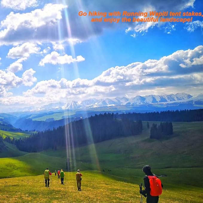 Beach Tent Stakes Canopy Anchors Canopy Stakes Heavy Duty Screw Shape 10 inch - 20 Pack Orange