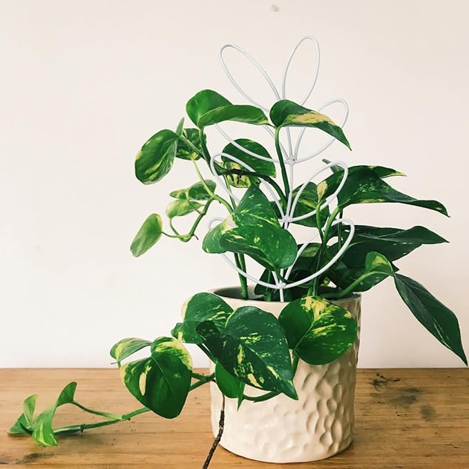 2Pack Indoor Plant Trellis Metal Wire Garden Trellis ，Small Climbing Leaf Shape Trellis for Garden Potted Plant Houseplant (Whiter)