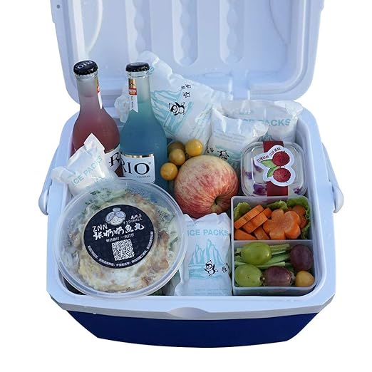 Shipping Ice Packs Reusable Small Dry Ice Pack Sheets 48 Packs, Ice Pack for Shipping Frozen Food Keep Food Fresh Beverage Cold, Frozen Gel Ice Packs for Coolers 3.5 oz Capacity, 4.7" x 3.3"