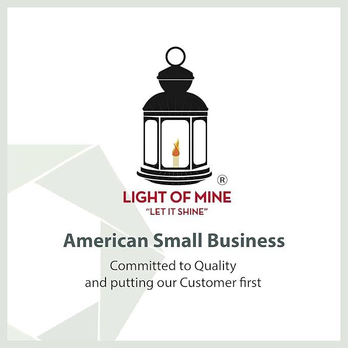 Light of Mine - Dietz #30 Little Wizard Black Oil Lantern with 5/8" Replacement Wick Strips (Black)