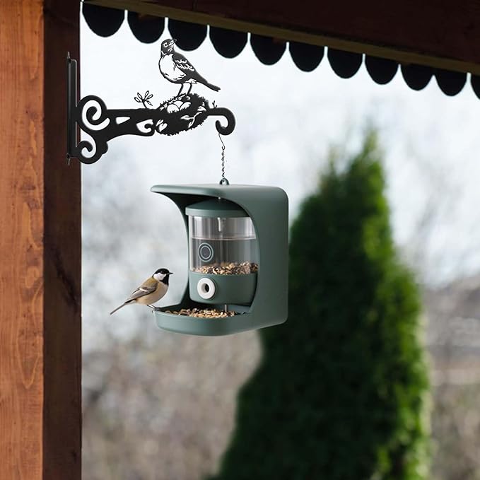 4-Pack Aesthetic Wall Plant Hanger Indoor and Outdoor ??10 Inch Metal Hanging Plant Bracket with Beautiful Bird Pattern ??Heavy Duty Plant Hooks for Hanging Plants, Bird Feeder, Wind Chime, Lantern