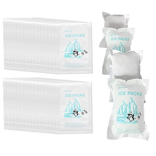 Shipping Ice Packs Reusable Small Dry Ice Pack Sheets 48 Packs, Ice Pack for Shipping Frozen Food Keep Food Fresh Beverage Cold, Frozen Gel Ice Packs for Coolers 3.5 oz Capacity, 4.7" x 3.3"