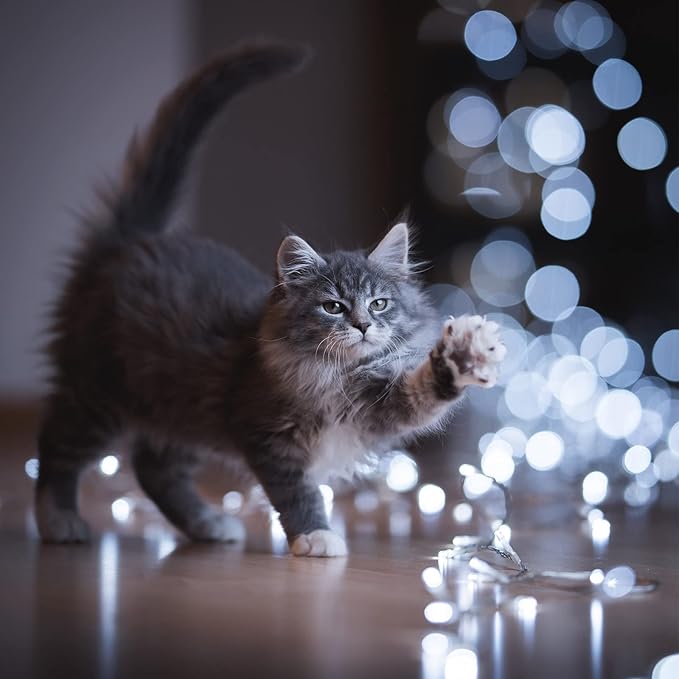 Macarrie 6 Pcs USB String Lights 33 ft 100 LED Fairy Lights Powered String for Christmas Indoor Outdoor Wedding Party Tree Home Festival Garden Decoration (Cool White)