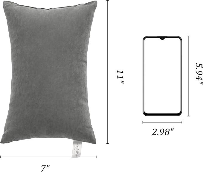 BEDSUM 2 Pack Tiny Pillows, 11"x7" Microfiber Mini Pillows for Travel, Pets, Soft and Machine Washable Small Pillows for Neck, Wrist, and Knee Comfort, Dark Grey