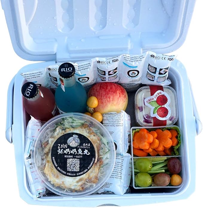 Shipping Ice Packs Dry Ice for Shipping Frozen Food, Shipping Cold Packs Reusable Ice Pack Sheets for Coolers 13" x 7"/Sheet - Shipping Ice Packs for Food Long Lasting Flexible Ice Blanket 500 Sheets