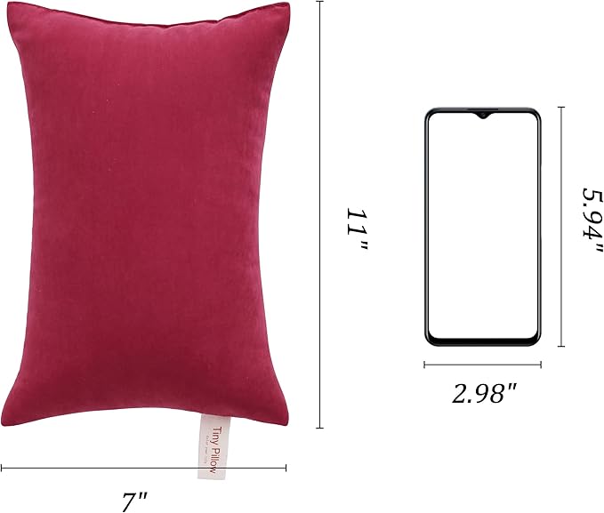 BEDSUM 2 Pack Tiny Pillows, 11"x7" Microfiber Mini Pillow for Travel, Dogs, Cats, Soft and Machine Washable Small Pillows for Neck, Wrist, and Knee Comfort, Red