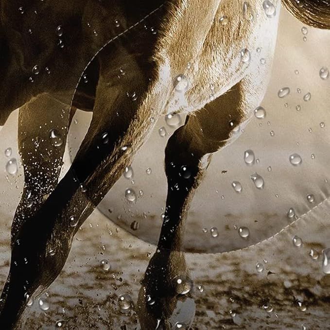 QOOMO Camping Sleeping Bags,3 Season Warm & Cool Weather,Lightweight,Waterproof Sleeping Bags for Adults & Kids,Traveling,and Outdoors,Camping Gear Equipment