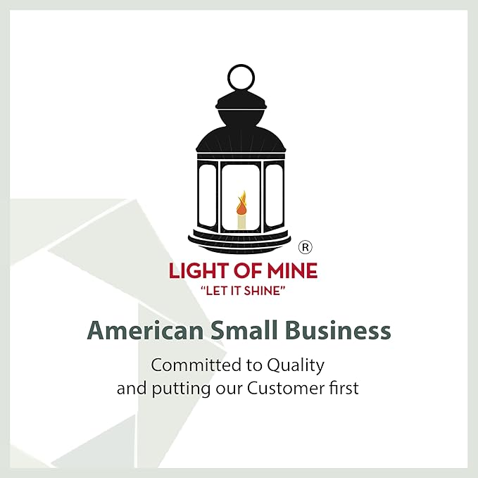 Light of Mine - Dietz #80 Blizzard Oil Lantern with 7/8" Replacement Wick Strips (Replacement Blizzard Globe with Wick)