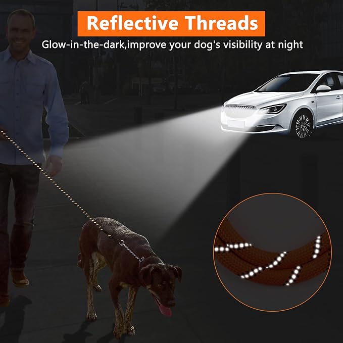 NTR 50FT Dog Long Leash, Rope Leash with Swivel Lockable Hook and Comfortable Padded Handle, Training Lead for Walking, Hunting, Camping, Backyard Small Medium Large Dogs, Orange