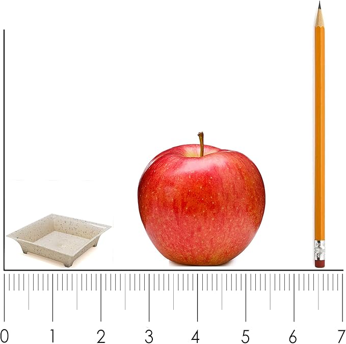 48 Pack Tiny Square Clear Plastic Tray Mini Appetizer Plates for Party Mini Serving Tray Small Appetizer Serving Sauce Dish Clear Dessert Plates for Weddings, Banquets, and Events CMJJ