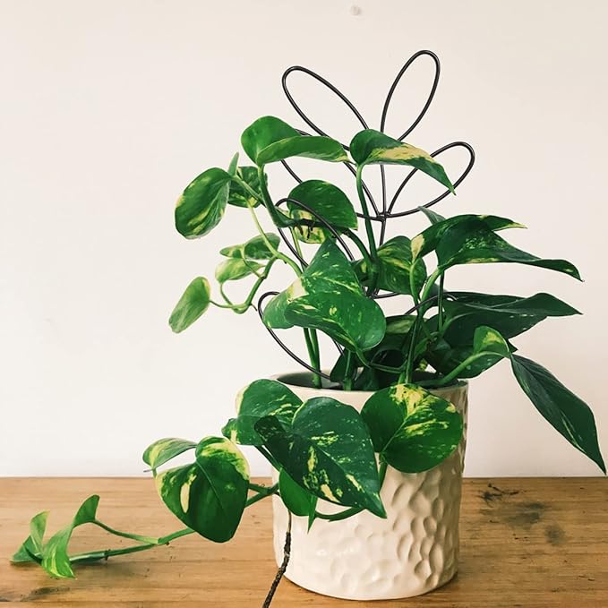 2Pack Indoor Plant Trellis Metal Wire Garden Trellis ，Small Climbing Leaf Shape Trellis for Garden Potted Plant Houseplant(Blackish)