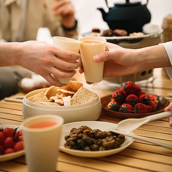 Camping Dishes Picnic Set, Camping Plates Cups and Bowls Set with Chopsticks and Spoons, BPA Free, 17PCS Portable Plastic Reusable Cutlery Set for 4, Portable Small Size, Not Microwave/Dishwasher Safe