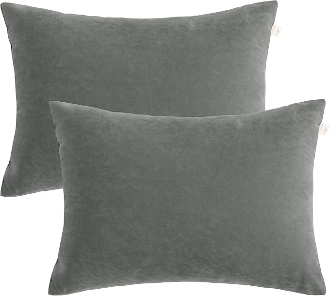 BEDSUM 2 Pack Microfiber Pillows, 13"x18", Soft, Machine Washable, Dark Grey