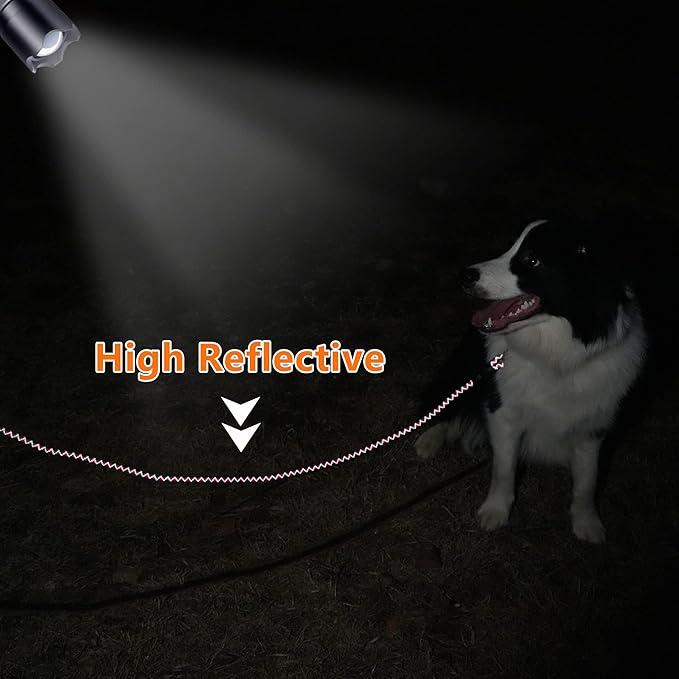 NTR Long Leash for Dog Training, 30FT Dog Leashes for Large Breed Dogs with Swivel Lockable Hook and Comfortable Padded Handle,Dog Lead Check Cord for Small Medium and Large Dogs, Purple/Green