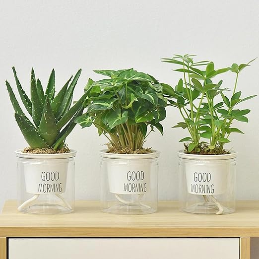 Drip Irrigation System, 33 feet 1/6 inch Self-Watering Planter Pot Automatic Water System Device Potted Violet self Watering Rope-30362