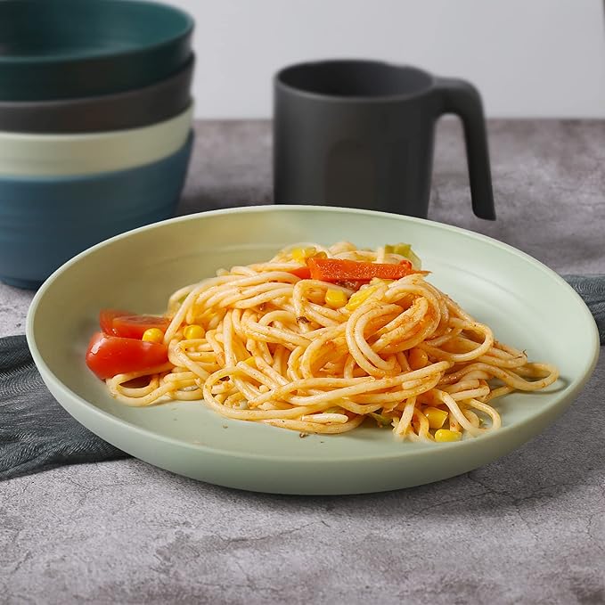shopwithgreen Lightweight Plastic Plates - 4 Pack 10'' Unbreakable Dinner Plates, Dishwasher & Microwave Safe, BPA free, for Kids, Children, Toddler & Adult