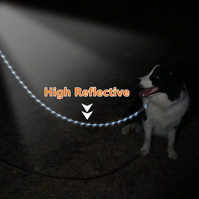 NTR Long Leash for Dogs, 100FT Check Cord with Swivel Lockable Hook and Comfortable Padded Handle for Reflective Dog Leash for Small Medium and Large Dogs Walking Training Hiking Camping Playing