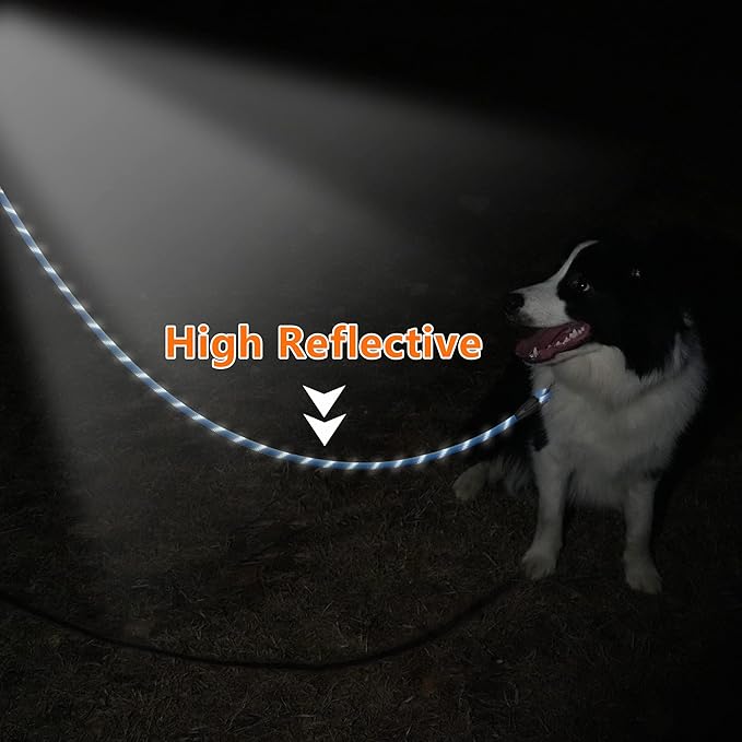 NTR Heavy Duty Dog Leash,15FT Long Rope Lead for Training with Swivel Lockable Hook,Reflective Threads and Comfortable Handle, Dog Lead for Walking,Hunting,Camping for Medium and Large Dogs