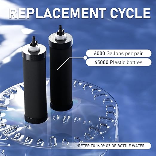 3 Gallons Gravity-Fed Water Filter System, Stainless-Steel Countertop System with 2 Black Carbon Filters and Metal Water Spigot, Reduces 99% Chlorine and Fluoride, for Home, RVing, Out, by DESENRUIS