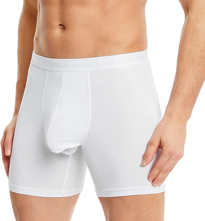 DAVID ARCHY Men's Underwear Ultra Soft Modal Dual Pouch Trunks Ball Pouch Bulge Enhancing Boxer Briefs for Men 3 or 4 Pack