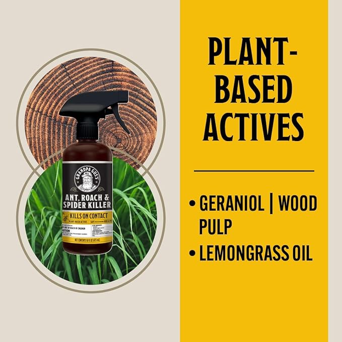 Grandpa Gus's Natural Spider and Insect Control Bundle - Non-Toxic Ant, Roach & Spider Killer Spray (16 oz) with Spider Repellent Pouches (10 Pouches), Safe Home and RV Pest Solution