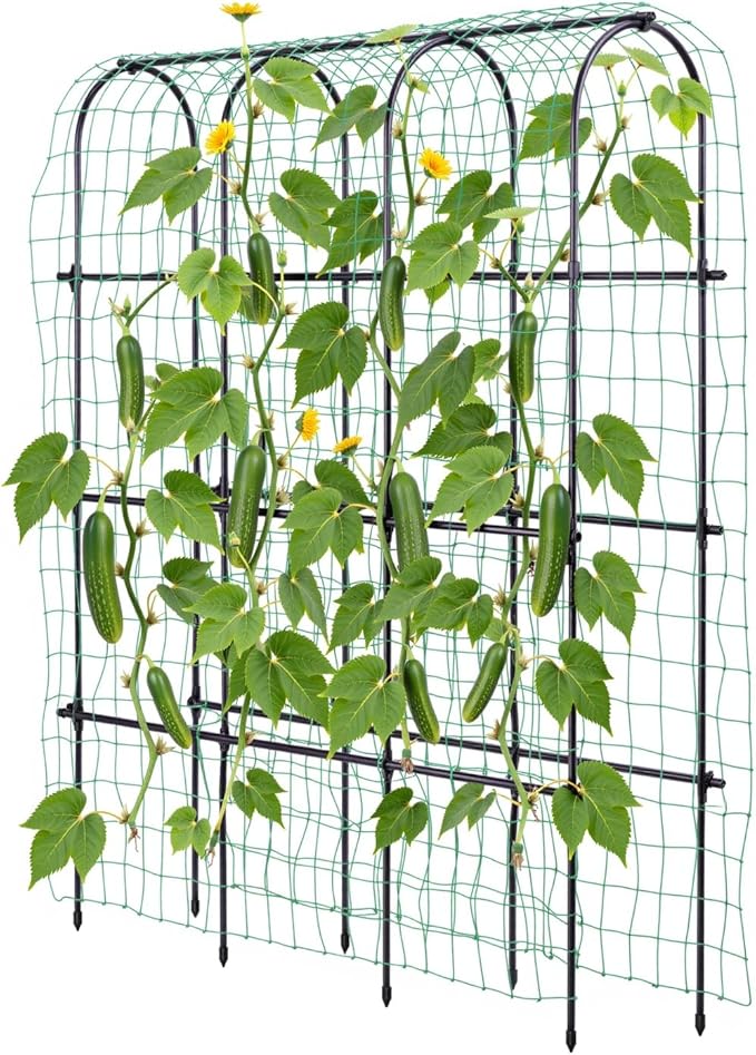 Idzo Arched Trellis for Raised Garden Bed, 70in Stainless Steel Tunnel Vegetable Trellis w PE Coating Protects Against Rust, Space-Saving Cucumber Trellis for Climbing Plants Outdoor, Easy to Maintain