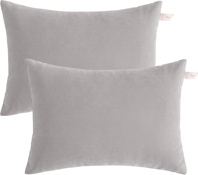 BEDSUM 2 Pack Pillows, 13"x18" Microfiber Pillow for Travel, Pet, Soft and Machine Washable Small Pillows for Neck, Wrist, and Knee Comfort, Light Grey