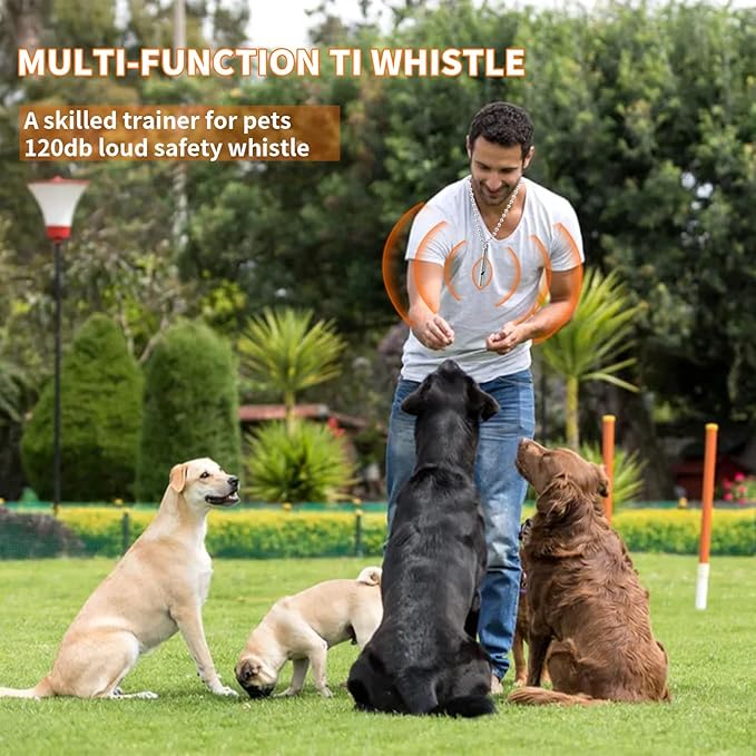 Titanium Emergency Whistle, Gray, 2 Inches Length, 120db Loud Safety Whistle with Necklace Chain, for Survival, Hiking, Camping, Pet Training